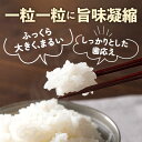 山形県白鷹町の画像2