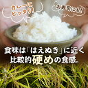 山形県白鷹町の画像3