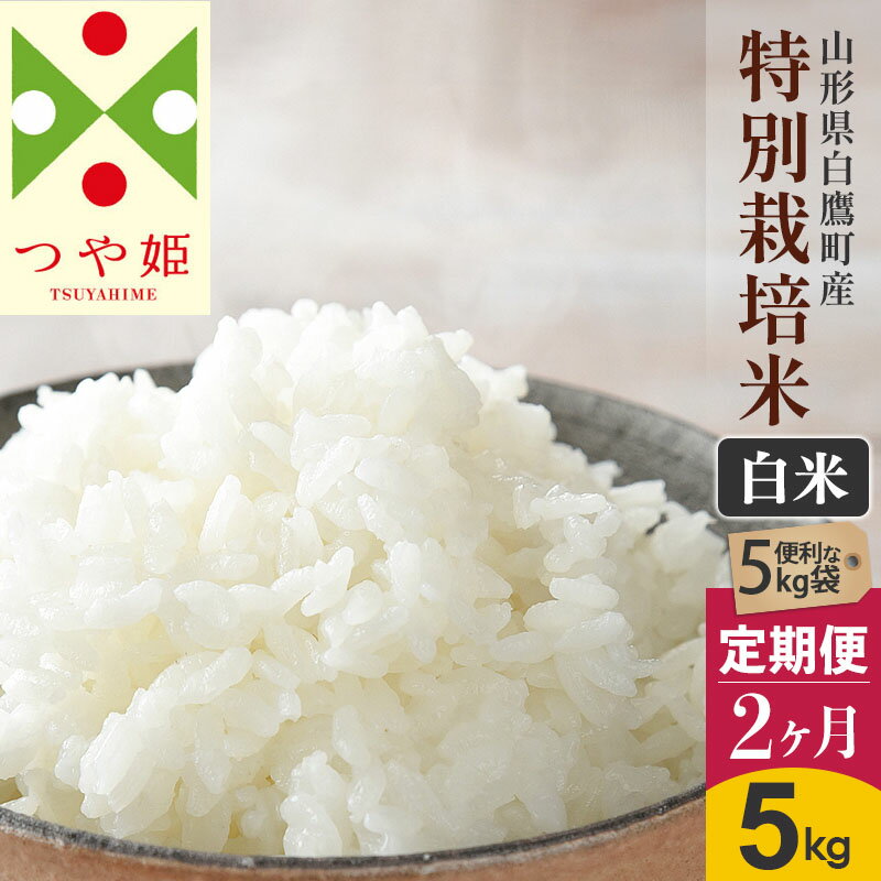 【ふるさと納税】《定期便2ヶ月》【白米】つや姫 5kg×2回（特別栽培米）令和5年産 山形県産 しらたかのお米