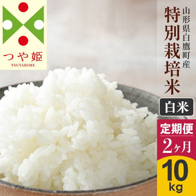 【ふるさと納税】《定期便2ヶ月》【白米】つや姫 10kg×2回（特別栽培米）令和5年産 山形県産 しらたか...