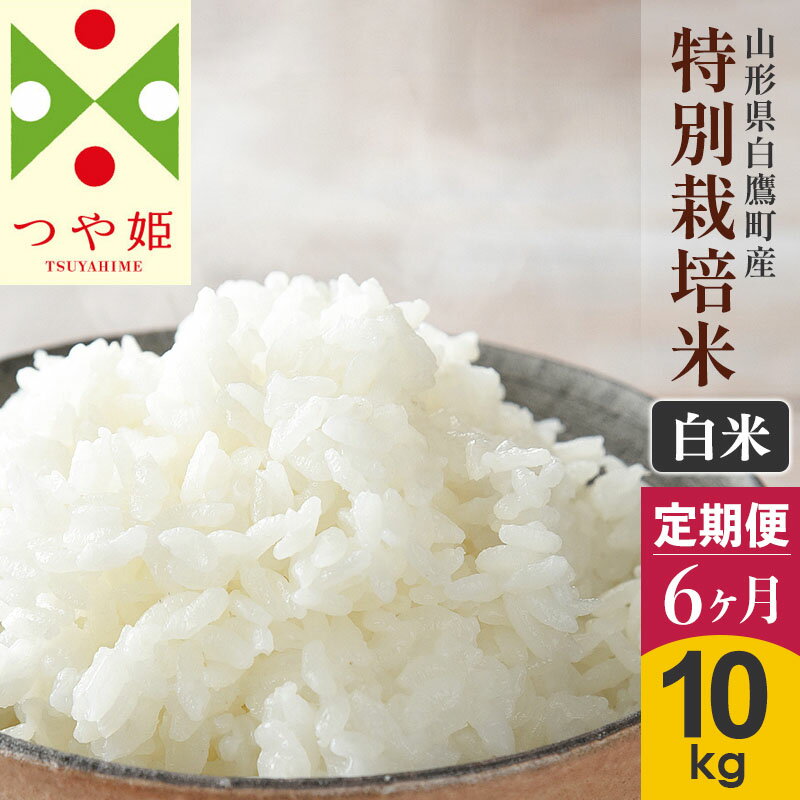 26位! 口コミ数「0件」評価「0」《定期便6ヶ月》【白米】つや姫 10kg×6回（特別栽培米）令和5年産 山形県産 しらたかのお米