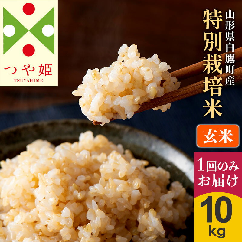 [玄米]つや姫 10kg(特別栽培米)令和5年産 山形県産 しらたかのお米