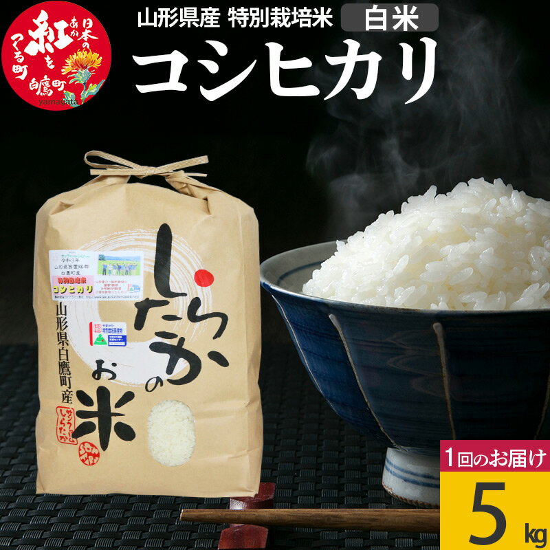 【ふるさと納税】【白米】特別栽培コシヒカリ 5kg 山形県産...