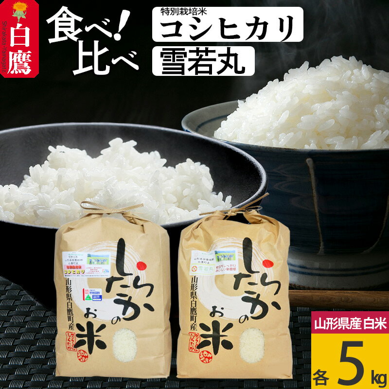 【ふるさと納税】【白米】特別栽培コシヒカリ・雪若丸 5kgずつの食べ比べセット 山形...