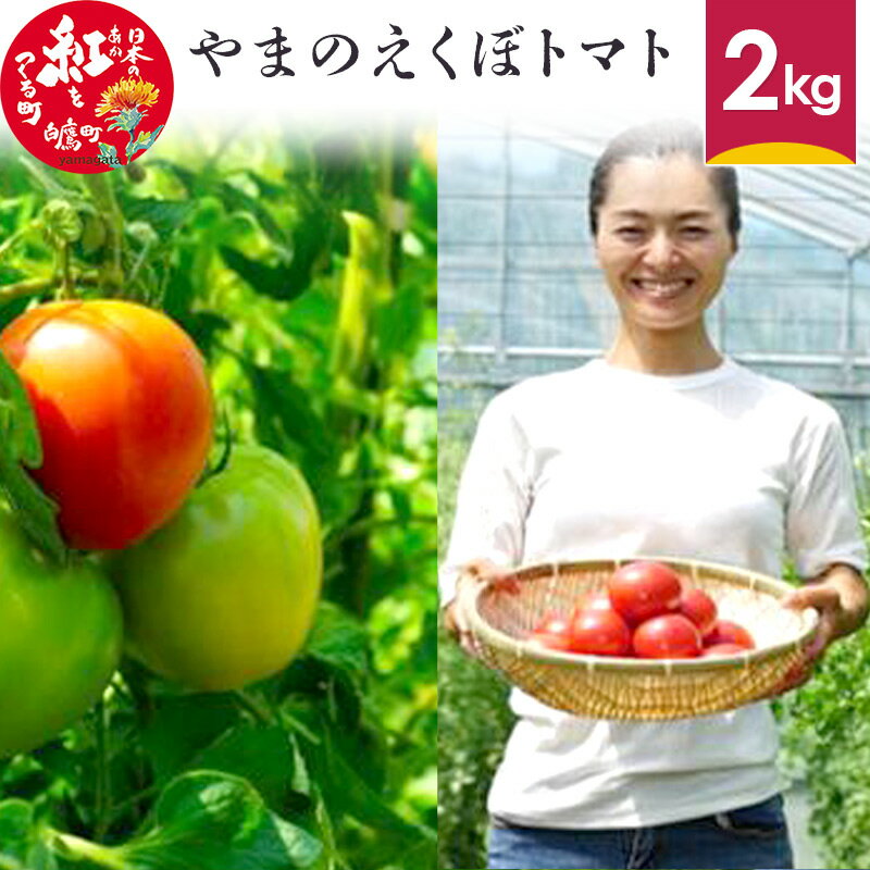 やまのえくぼトマト 2kg 山形県産 【2024年7月下旬～8月下旬に順次発送予定】