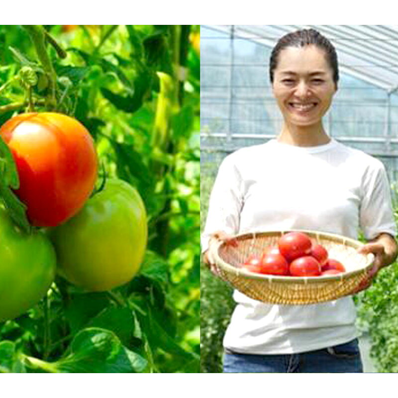 山形県白鷹町の画像2