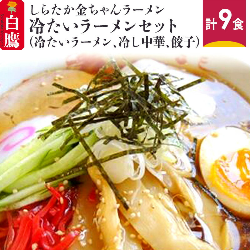 しらたか金ちゃんラーメン 冷たいラーメンセット (冷ラーメン、冷し中華、餃子) 計9食