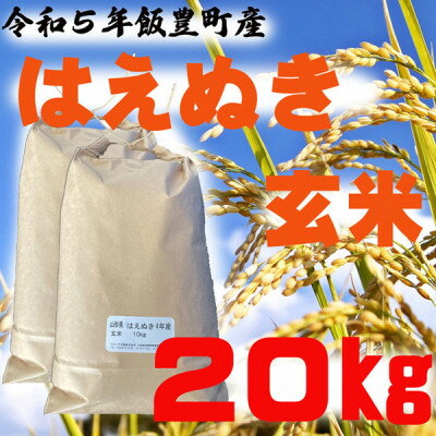 【ふるさと納税】はえぬき　玄米　20kg　令和5年山形県飯豊
