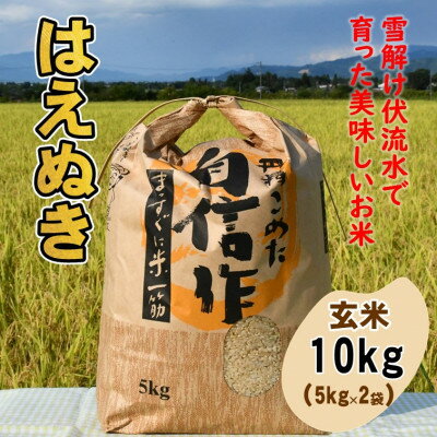 【ふるさと納税】はえぬき玄米10kg　山形県飯豊町産【1450114】