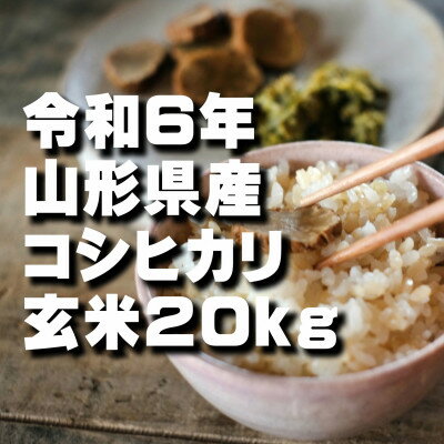 コシヒカリ 玄米 20kg 令和6年山形県飯豊町産 お米屋さんおすすめのおいしいお米