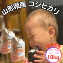 【ふるさと納税】新米予約【生産者の顔が見える米】令和7年飯豊町産コシヒカリ 精米10kg【白米】【1623744】