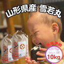 【ふるさと納税】新米予約【生産者の顔が見える米】令和7年飯豊町産 雪若丸 精米10kg【白米】【1623746】