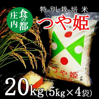 食の都庄内【精米】特別栽培米つや姫20kg（5kg×4袋）（庄内たがわ農業協同組合）