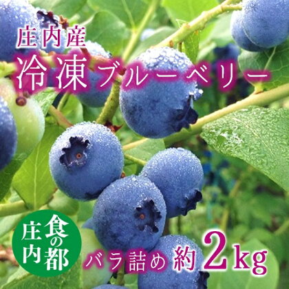 食の都庄内【令和6年産】庄内産冷凍ブルーベリー（バラ詰め約2kg）※2024年8月頃より順次配送予定（庄内たがわ農業協同組合）