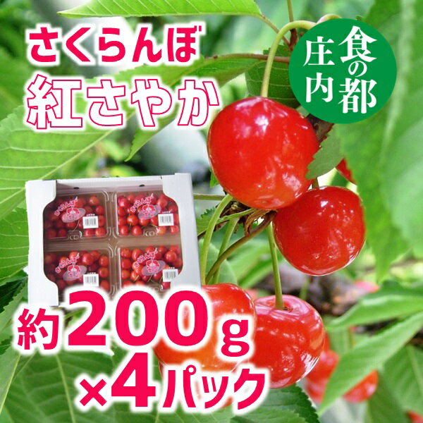 食の都庄内【令和6年産】さくらんぼ紅さやか 約200g×4パック※2024年6月上旬頃～6月中旬配送予定（庄内たがわ農業協同組合）