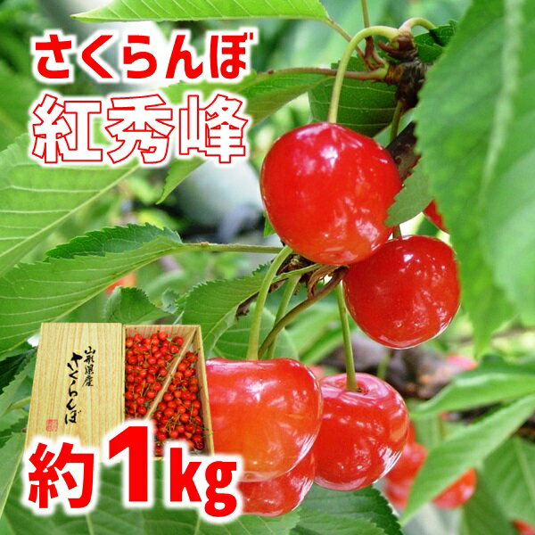 8位! 口コミ数「0件」評価「0」食の都庄内【令和6年産】さくらんぼ紅秀峰 約1kg※2024年7月上旬頃配送予定（庄内たがわ農業協同組合）