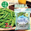 【ふるさと納税】食の都庄内 庄内ちゃまめ「出羽美人」2kg(250g×8袋)※8月上旬頃より配送予定(庄内たがわ農業協同組合)