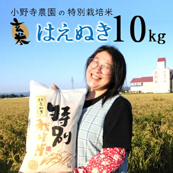[玄米]小野寺農園の特別栽培米はえぬき10kg