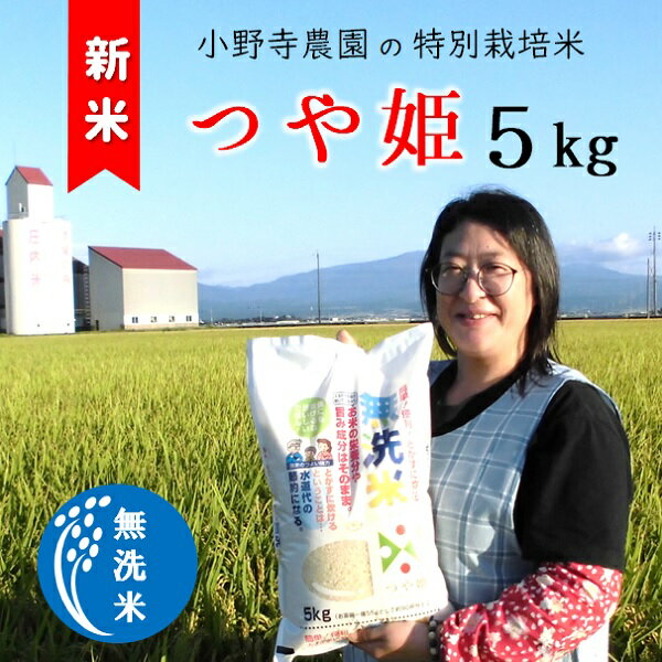 【ふるさと納税】小野寺農園の【無洗米】つや姫5kg