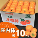 【ふるさと納税】グリーンファーム小野寺の庄内柿1箱約10kg ※11月中旬頃から順次配送予定(グリーンファーム小野寺)