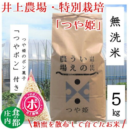 食の都庄内　井上農場の【無洗米（精米）】特別栽培米つや姫5kg　つやポン付（産直出前便）