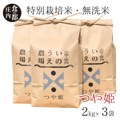 食の都庄内　井上農場の【無洗米（精米）】特別栽培米つや姫6kg（産直出前便）