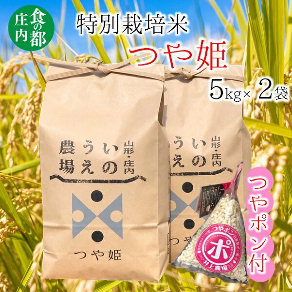 食の都庄内 井上農場の特別栽培米つや姫5kg×2袋+つやポン(産直出前便)