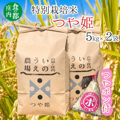 食の都庄内　井上農場の特別栽培米つや姫5kg×2袋+つやポン（産直出前便）