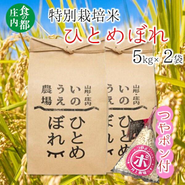 食の都庄内 井上農場の特別栽培米ひとめぼれ5kg×2袋+つやポン(産直出前便)