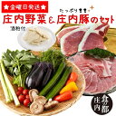 【ふるさと納税】庄内野菜&たっぷり庄内豚セット(庄内の酒粕付)(やまがた庄内産直出前便実行委員会)