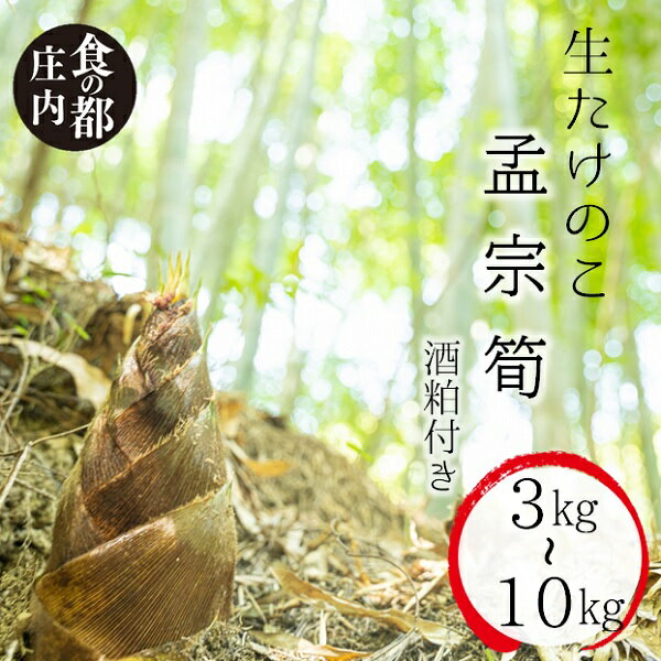 楽天市場】たけのこ 10kgの通販 楽天市場】たけのこ 10kgの通販