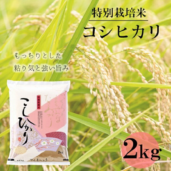 2位! 口コミ数「0件」評価「0」竹原田ファームのコシヒカリ2kg【精米】