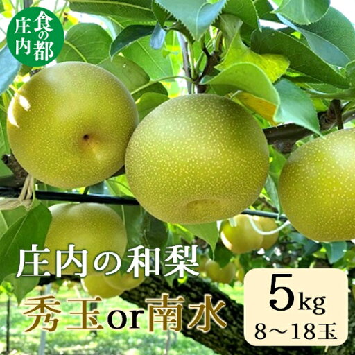 【ふるさと納税】食の都庄内 庄内の和梨【秀玉or南水】約5kg※9月中旬ごろより順次配送(有限会社庄内旬青果) 【ふるさと納税】食の都庄内 庄内の和梨【秀玉or南水】約5kg※9月中旬ごろより順次配送(有限会社庄内旬青果)