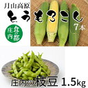 【ふるさと納税】食の都庄内 庄内の枝豆&月山高原とうもろこし※7月下旬より順次配送(有限会社庄内旬青果)