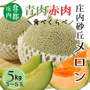 【ふるさと納税】食の都庄内【令和7年産】庄内の青肉&赤肉メロン5kg(3~5玉)(有限会社庄内旬青果)