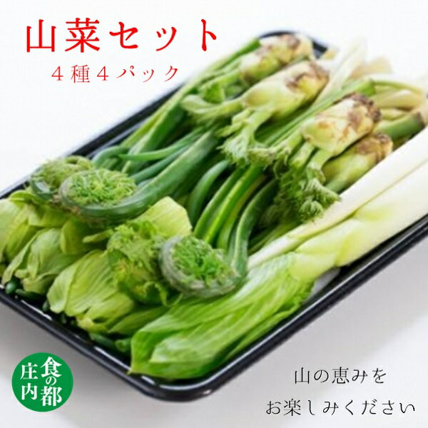 【ふるさと納税】食の都庄内 庄内産季節の山菜セット(4種4パック)(有限会社庄内旬青果)