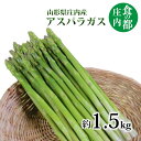 【ふるさと納税】食の都庄内 庄内産アスパラガス 約1.5kg ※6月中旬頃より配送(マルショウ青果有限会社)