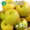 【ふるさと納税】食の都庄内 庄内特産 和梨 約5kg ※令和7年8月下旬頃~順次配送 (マルショウ青果)