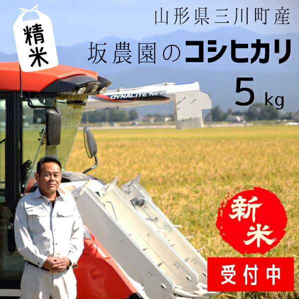 [精米]坂農園の厳選米!コシヒカリ5kg