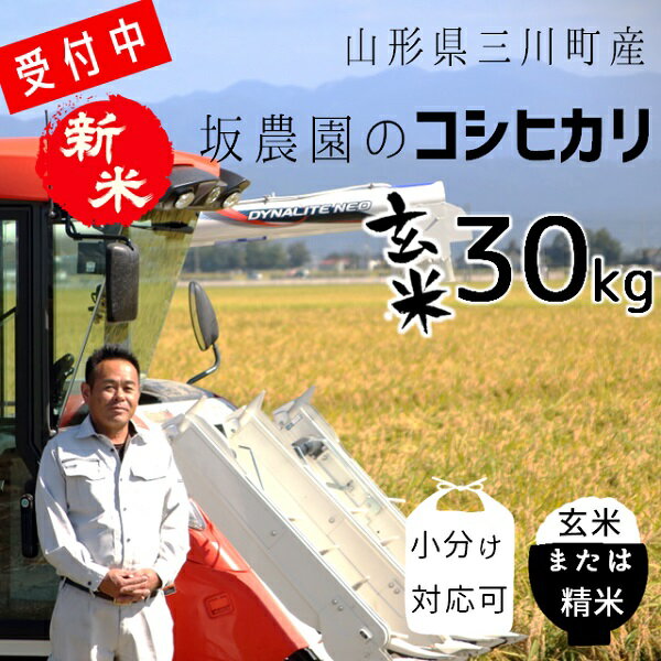 【ふるさと納税】坂農園の厳選米！コシヒカリ玄米30kg