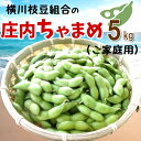 【ふるさと納税】横川枝豆組合の「庄内ちゃまめ」5kg(ご家庭用) ※8月上旬頃より配送※枝豆 えだ豆 えだまめ ちゃ豆