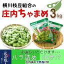 【ふるさと納税】横川枝豆組合の「庄内ちゃまめ」3kg ※8月上旬頃より配送※枝豆 えだ豆 えだまめ ちゃ豆