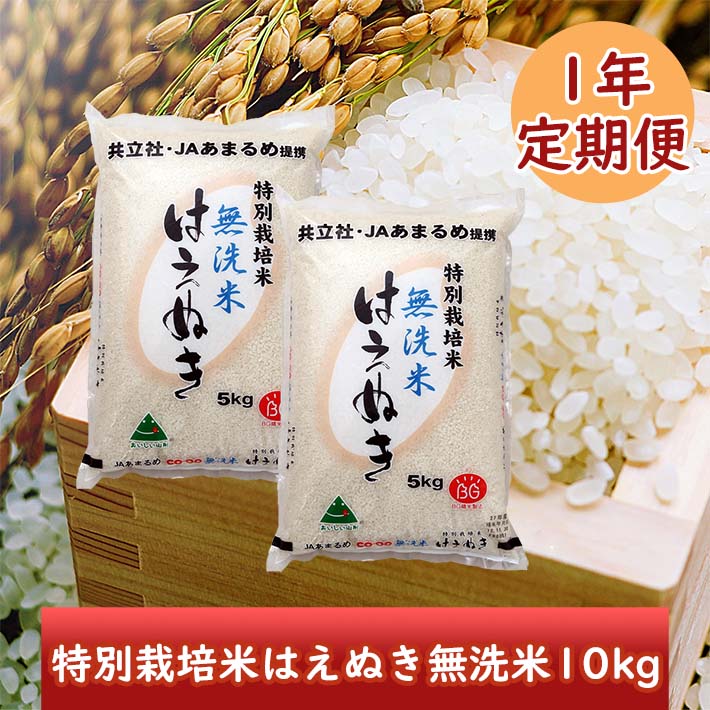 【ふるさと納税】＜12月・1月・2月開始＞庄内米1年定期便！特別栽培米はえぬき無洗米10kg