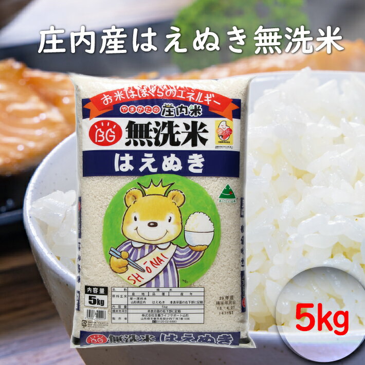 【ふるさと納税】はえぬき 無洗米 5kg ふるさと納税 米 