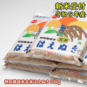 【ふるさと納税】　新米受付 新米予約 令和5年産米　特別栽培米玄米はえぬき　10kg　山形県　新米