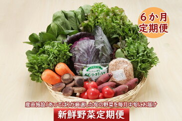 【ふるさと納税】＜8月開始＞新鮮野菜6か月定期便！産直施設「あっでば」直送（入金期限：2020.7.25）