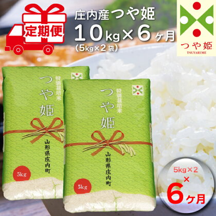 ＜5月下旬発送＞庄内米6か月定期便！つや姫10kg（入金期限：2024.4.25）ふるさと納税 米 定期便 山形県