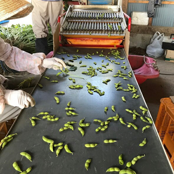 山形県庄内町の画像2