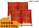 【ふるさと納税】令和元年産 庄内町産はえぬき20kg【新型コ