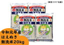 【ふるさと納税】令和元年産 庄内町産はえぬき無洗米20kg【